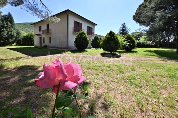 casa indipendente in vendita a Castiglion Fiorentino in zona Orzale