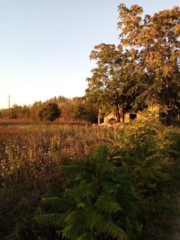 casa indipendente in vendita a Castiglion Fiorentino