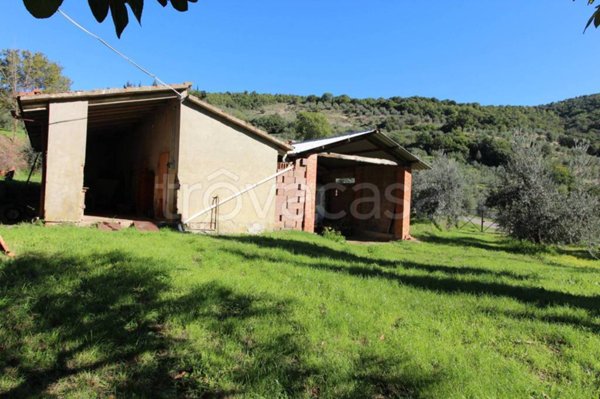 terreno agricolo in vendita a Castiglion Fiorentino in zona Ristonchia
