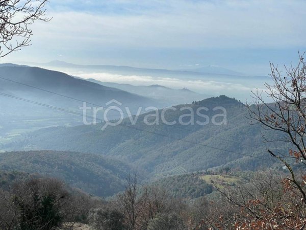 casa indipendente in vendita a Castiglion Fiorentino in zona Cozzano