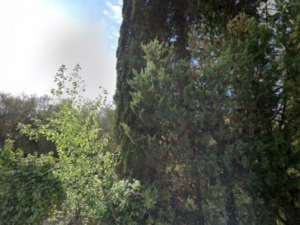 casa indipendente in vendita a Castiglion Fiorentino in zona Senaia