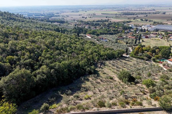terreno agricolo in vendita a Castiglion Fiorentino