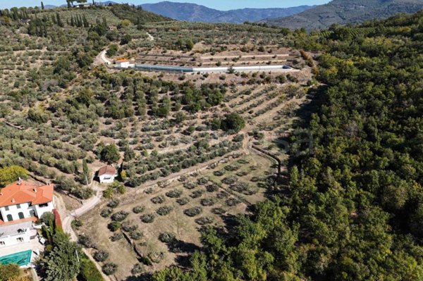 terreno agricolo in vendita a Castiglion Fiorentino