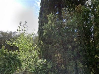 casa indipendente in vendita a Castiglion Fiorentino in zona Senaia
