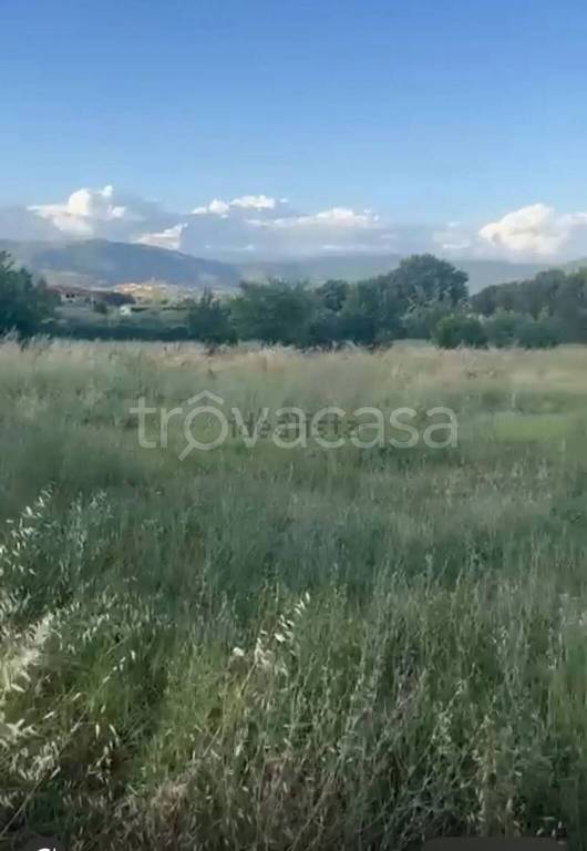 terreno agricolo in vendita a Castiglion Fiorentino in zona Castroncello