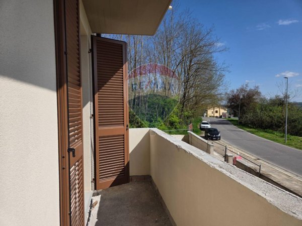 immagine annuncio 0 di 15