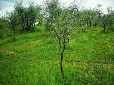 casa indipendente in vendita a Cavriglia