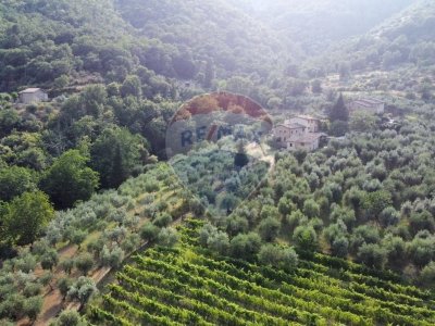 casa indipendente in vendita a Cavriglia