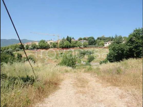 terreno agricolo in vendita a Cavriglia in zona Meleto