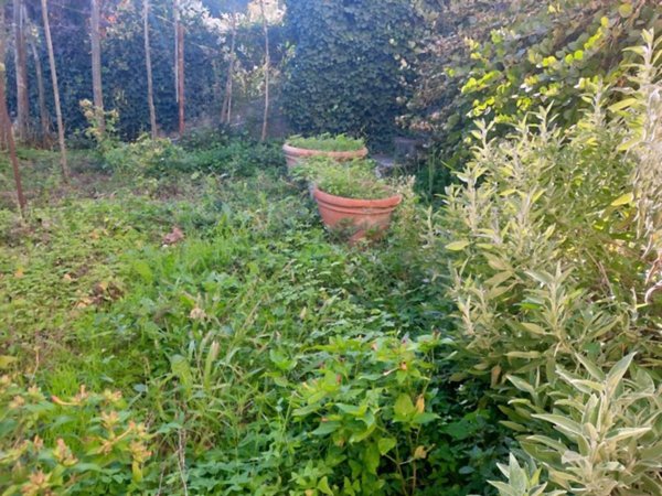 attico in vendita a Cavriglia in zona Montegonzi
