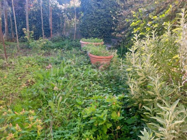 attico in vendita a Cavriglia in zona Montegonzi