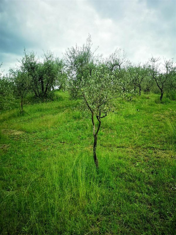 casa indipendente in vendita a Cavriglia