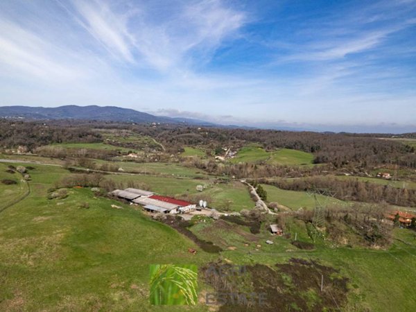 terreno agricolo in vendita a Cavriglia