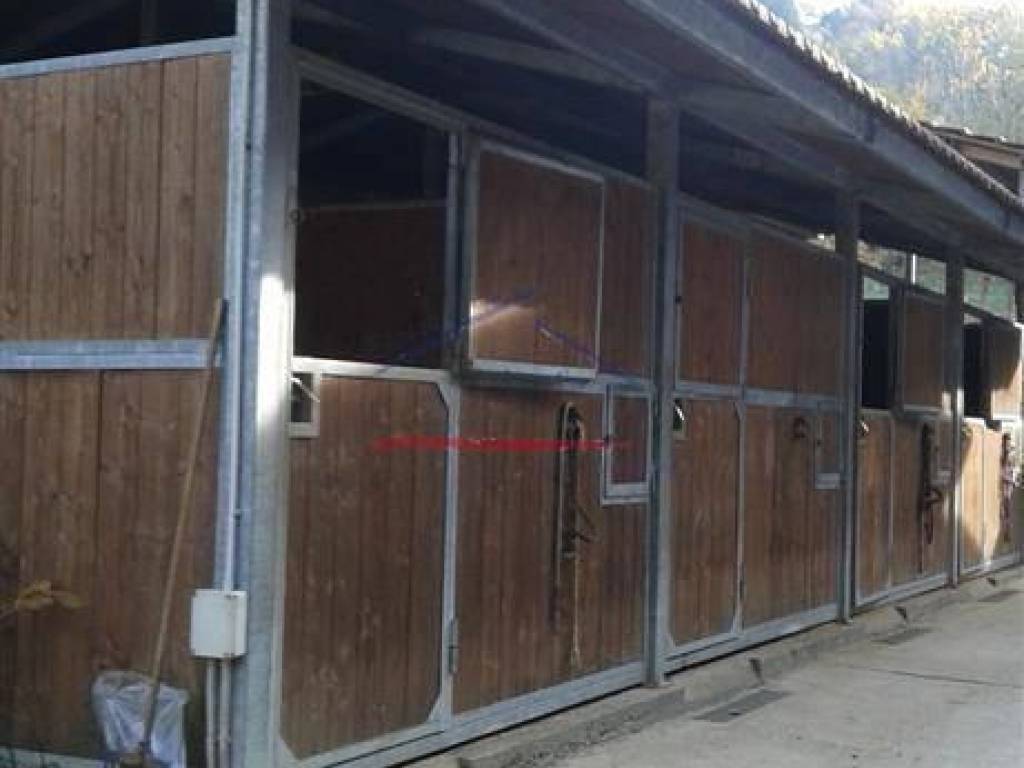 azienda agricola in vendita a Chitignano