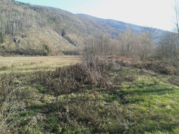 terreno agricolo in vendita a Chiusi della Verna in zona Corsalone