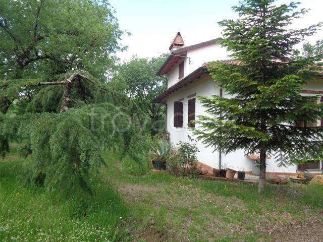 casa indipendente in vendita a Civitella in Val di Chiana in zona Albergo