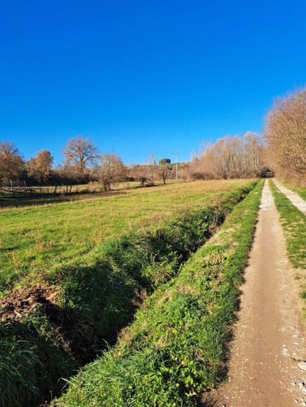 terreno agricolo in vendita a Civitella in Val di Chiana in zona Albergo
