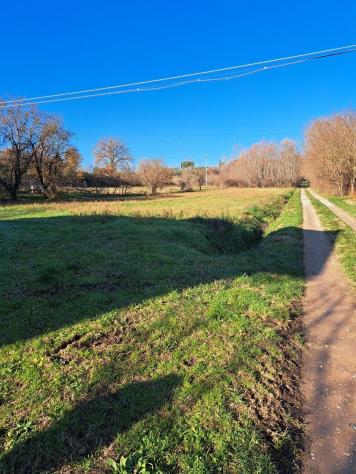 terreno agricolo in vendita a Civitella in Val di Chiana in zona Albergo
