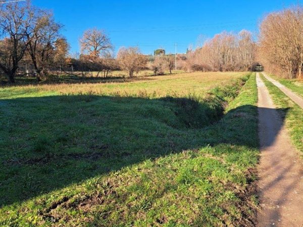 terreno agricolo in vendita a Civitella in Val di Chiana in zona Albergo