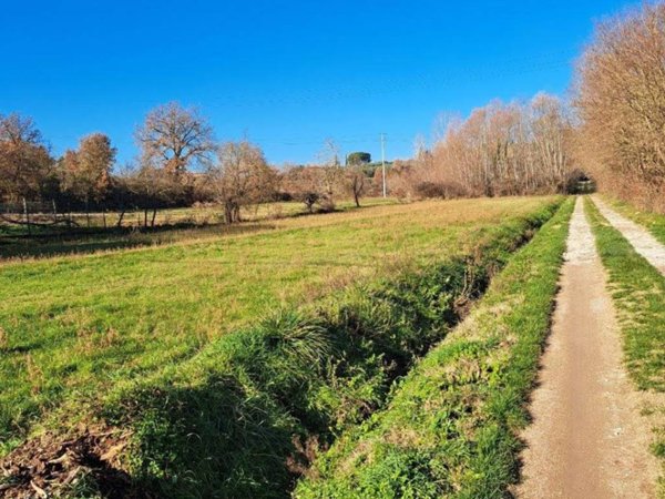 terreno agricolo in vendita a Civitella in Val di Chiana in zona Albergo
