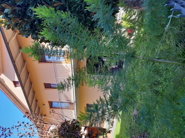 casa indipendente in vendita a Civitella in Val di Chiana in zona Pieve al Toppo