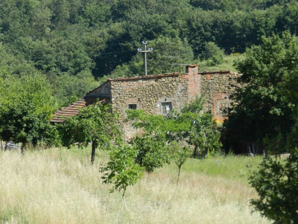 azienda agricola in vendita a Civitella in Val di Chiana in zona Oliveto