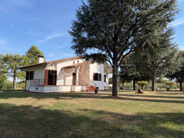casa indipendente in vendita a Civitella in Val di Chiana in zona Tegoleto