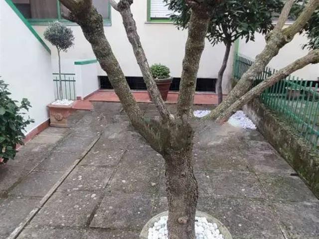 casa indipendente in vendita a Cortona in zona Terontola