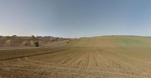 terreno agricolo in vendita a Cortona in zona Creti
