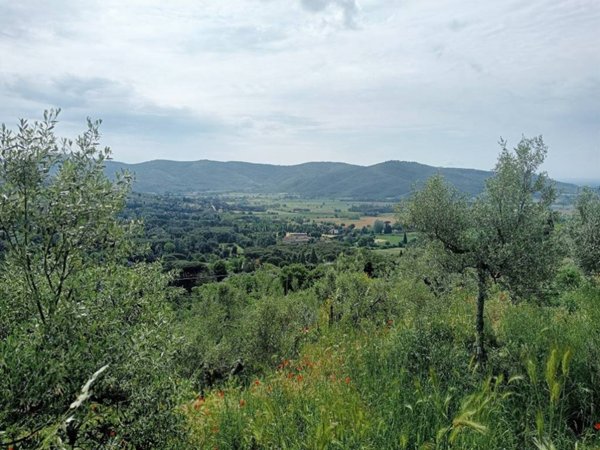 terreno agricolo in vendita a Cortona