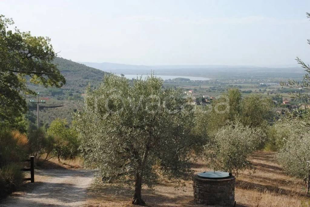 casa indipendente in vendita a Cortona in zona Terontola