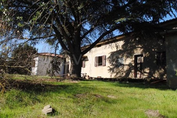 immagine annuncio 0 di 1