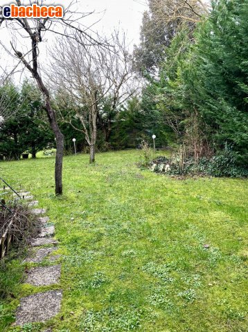appartamento in vendita a Cortona in zona Montecchio
