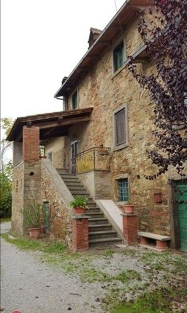 esavano in vendita a Cortona in zona Fossa del Lupo