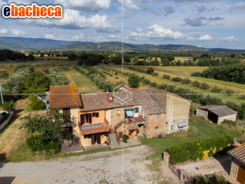 appartamento in vendita a Cortona