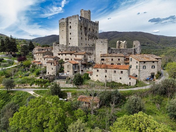 esavano in vendita a Cortona in zona Pierle