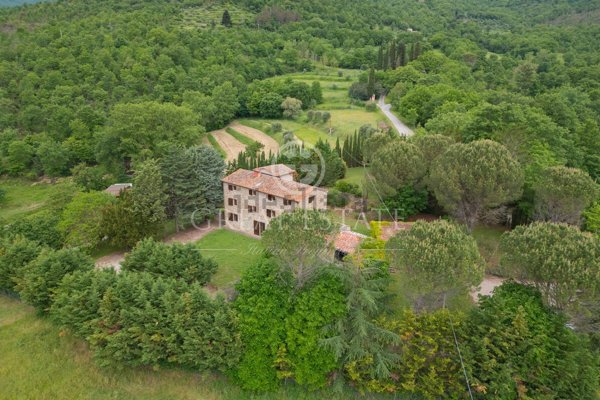 esavano in vendita a Cortona