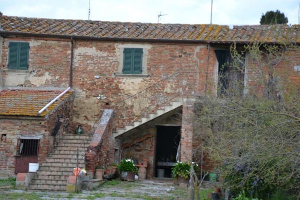 esavano in vendita a Cortona in zona Farneta