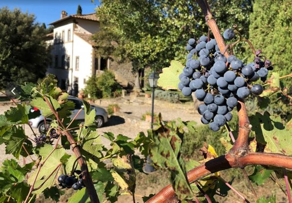 villa in vendita a Cortona