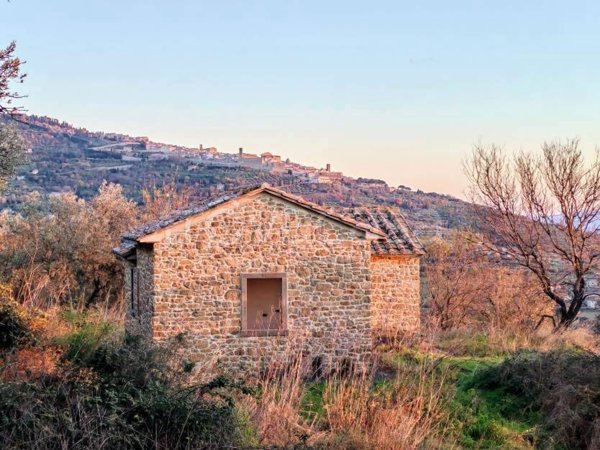 appartamento in vendita a Cortona in zona Cegliolo