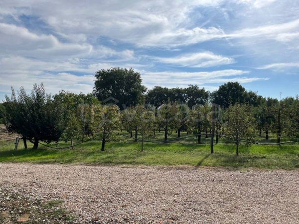 appartamento in vendita a Cortona