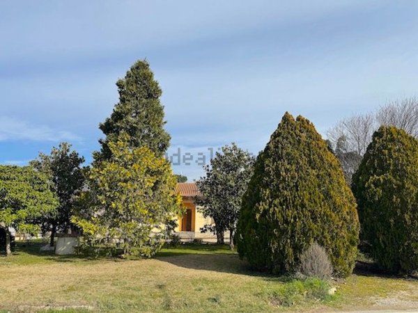 casa indipendente in vendita a Cortona