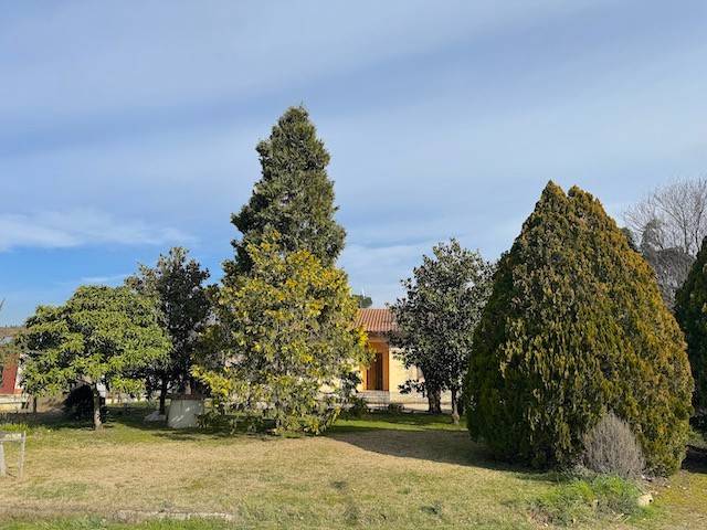casa indipendente in vendita a Cortona