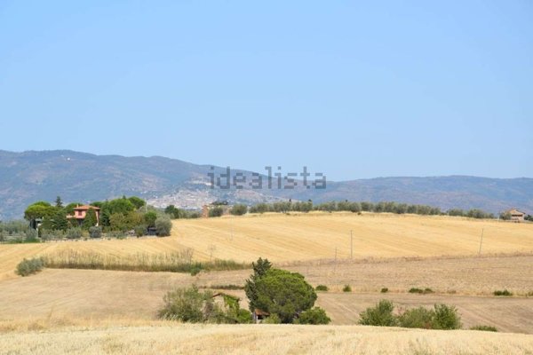 appartamento in vendita a Cortona in zona Casale
