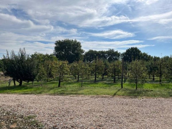 appartamento in vendita a Cortona