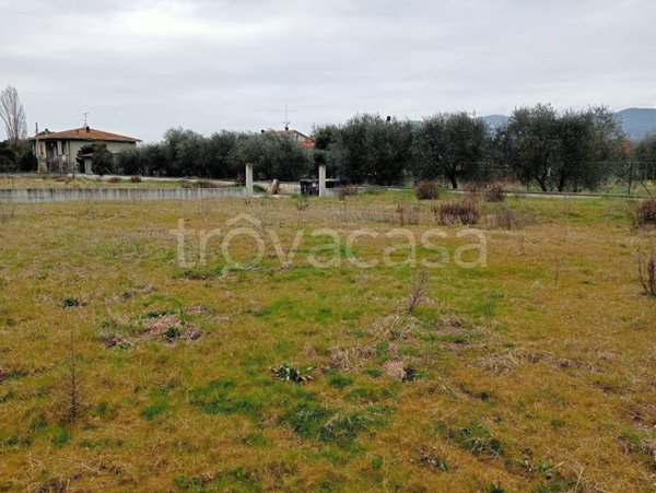 terreno edificabile in vendita a Cortona in zona Ossaia