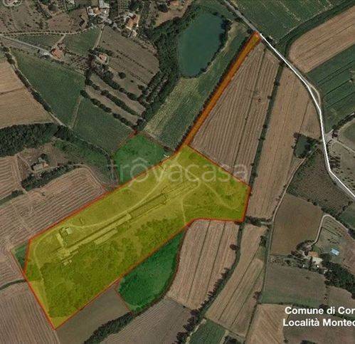 ufficio in vendita a Cortona in zona Montecchio