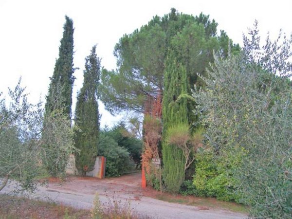 appartamento in vendita a Cortona in zona Sodo