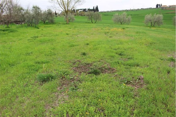 terreno edificabile in vendita a Cortona in zona Montecchio