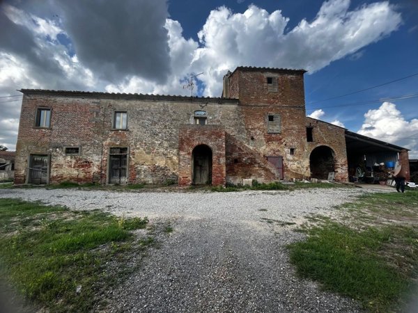 esavano in vendita a Cortona